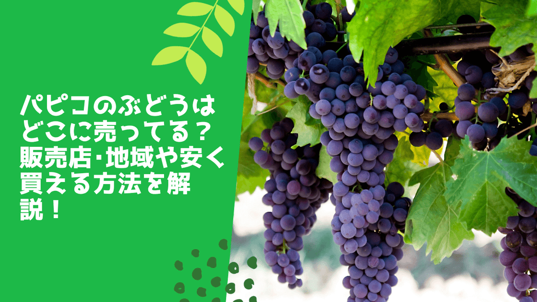 パピコのぶどうはどこに売ってる？販売店･地域や安く買える方法を解説！