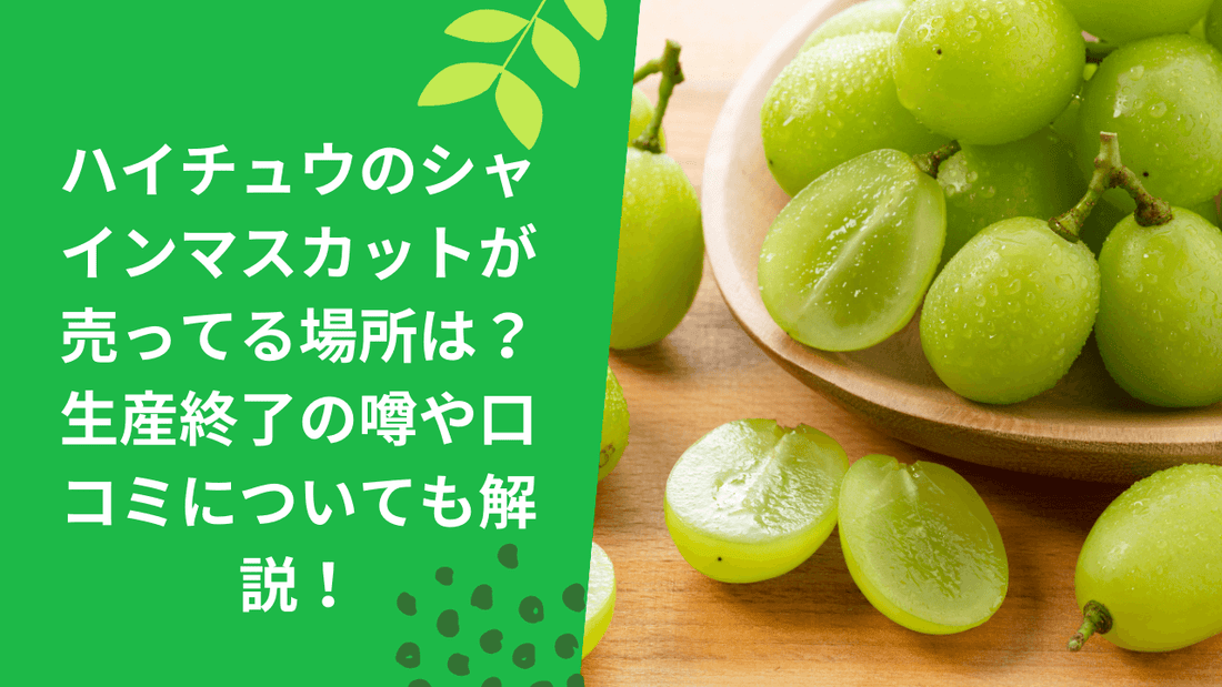 ハイチュウのシャインマスカットが売ってる場所は？
