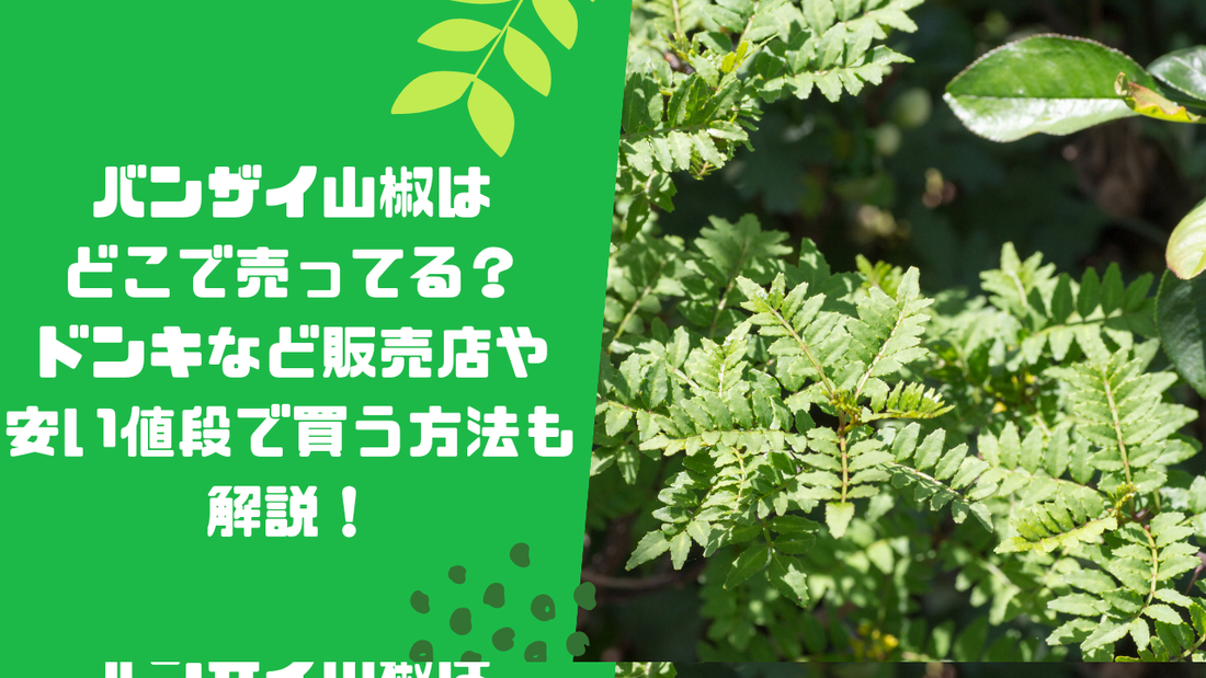 バンザイ山椒はどこで売ってる？ドンキなど販売店や安い値段で買う方法も解説！