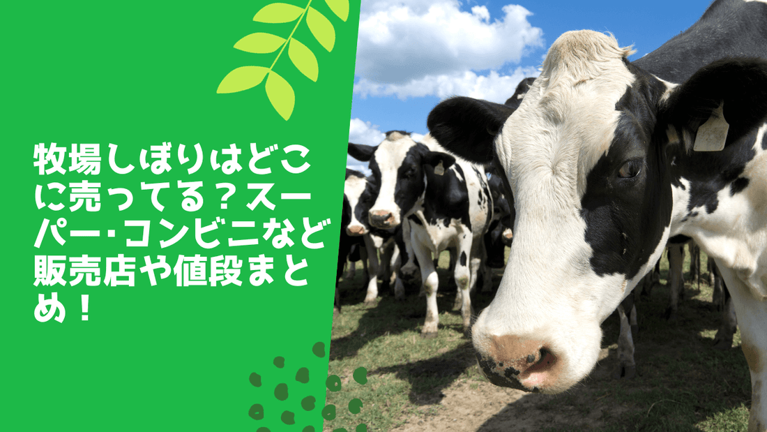牧場しぼりはどこに売ってる？