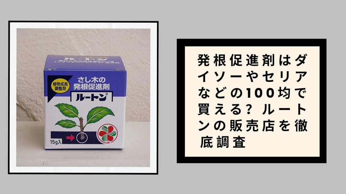 発根促進剤はダイソーやセリアなどの100均で買える