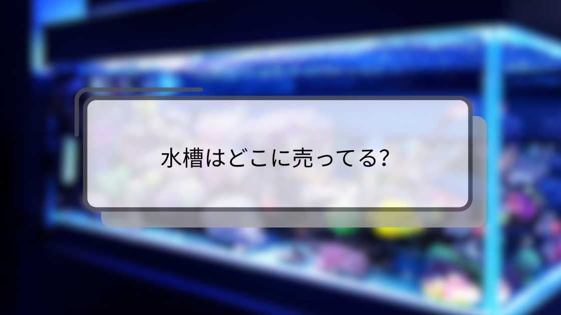 水槽はどこに売ってる?カインズやコーナン・100均やドンキホーテ等売ってる場所は?